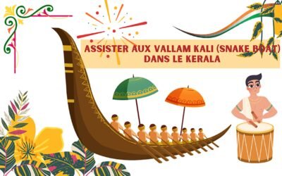 Assister aux Vallam Kali (snake boat) , les fameuses courses de bateaux du le Kerala 