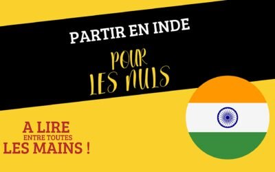 Partir en Inde pour les nuls