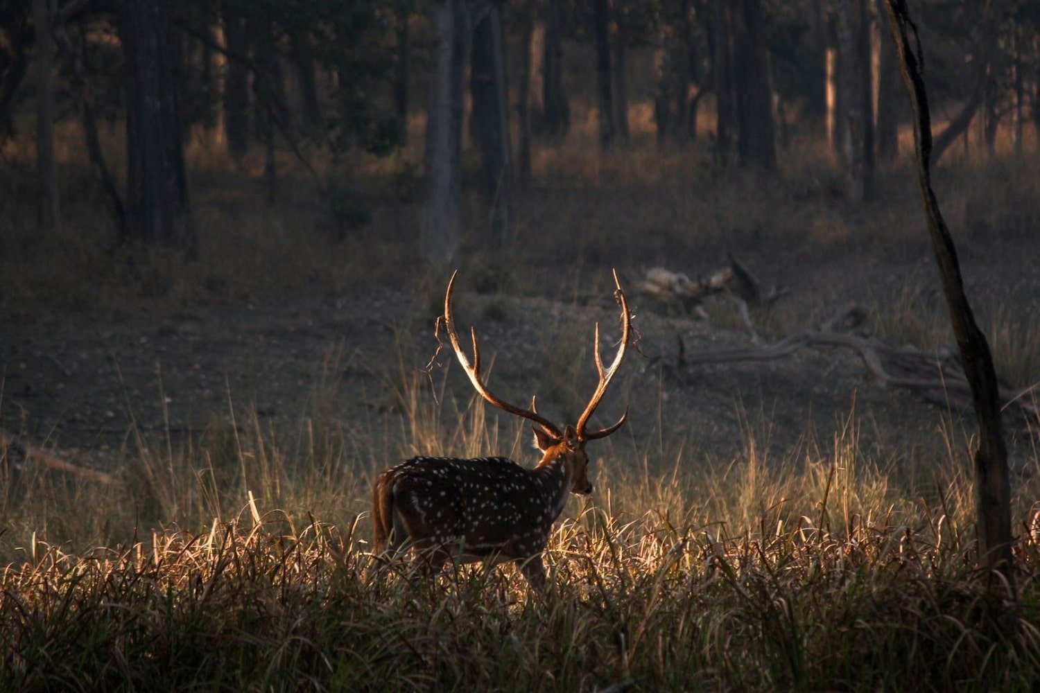 india-khan-centre-de-l-inde-exploration-profonde-de-madhya-pradesh-jour-10